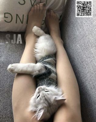 星空无限传媒一二三区小甜豆_迅雷在线观看