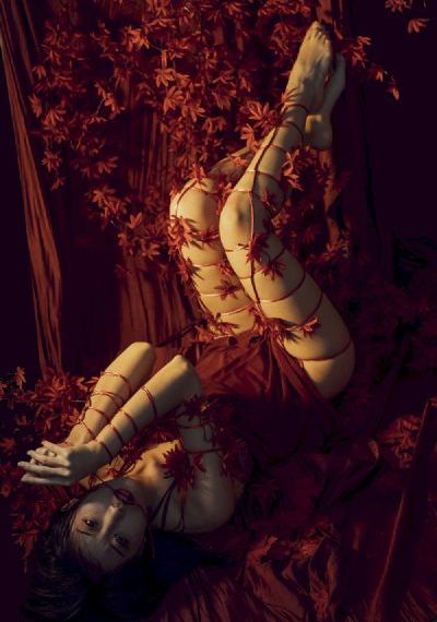 海贼王娜美罗宾本子视频_超清高清完整版
