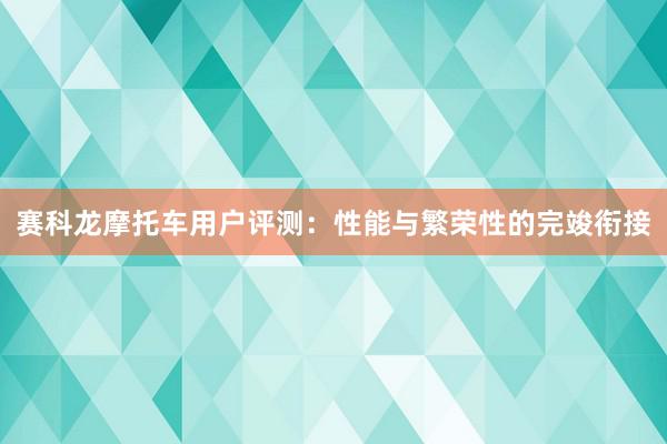 赛科龙摩托车用户评测：性能与繁荣性的完竣衔接